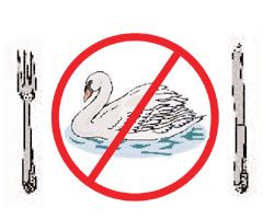 Swan Folderweb.jpg